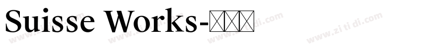 Suisse Works字体转换